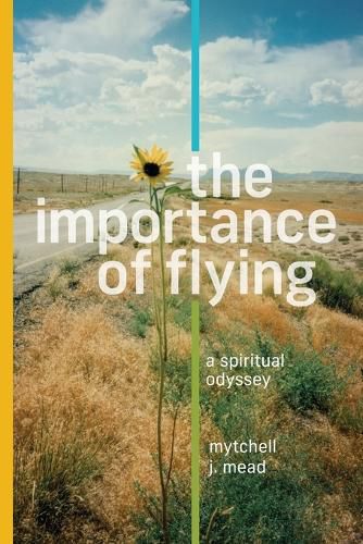 Cover image for The Importance of Flying