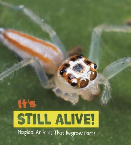 Cover image for It's Still Alive!: Magical Animals That Regrow Parts