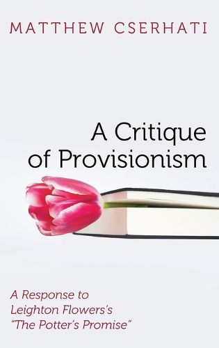 Cover image for A Critique of Provisionism