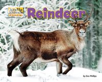 Cover image for Reindeer