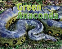 Cover image for Green Anaconda