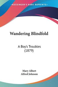 Cover image for Wandering Blindfold: A Boy's Troubles (1879)