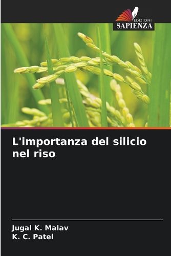 Cover image for L'importanza del silicio nel riso