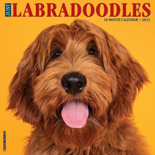 Cover image for Just Labradoodles 2023 Wall Calendar