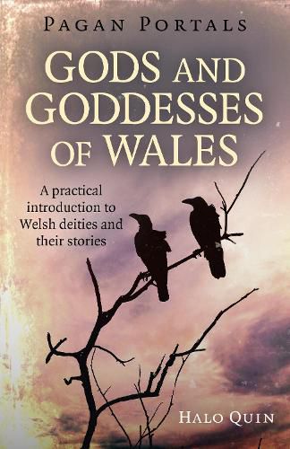 Cover image for Pagan Portals - Gods and Goddesses of Wales: A practical introduction to Welsh deities and their stories