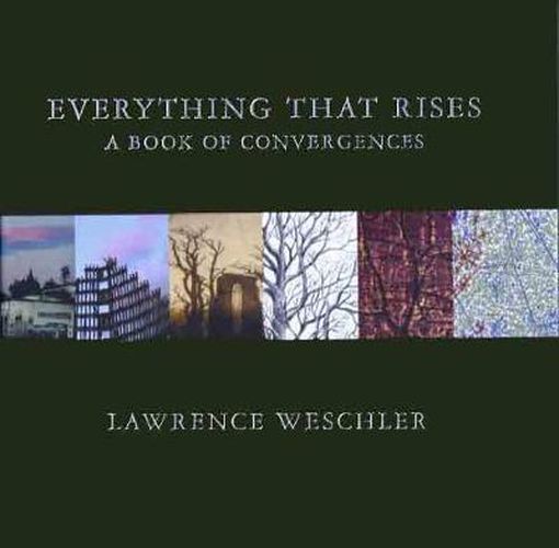 Cover image for Everything That Rises: A Book of Convergences