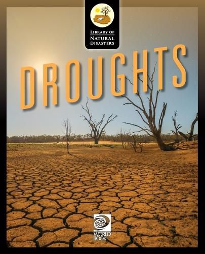 Cover image for Droughts