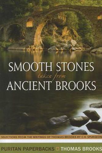 Cover image for Smooth Stones Taken from Ancient Brooks