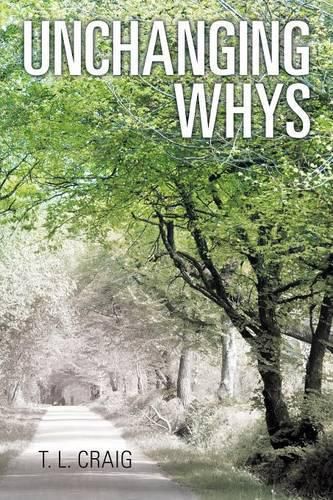 Cover image for Unchanging Whys