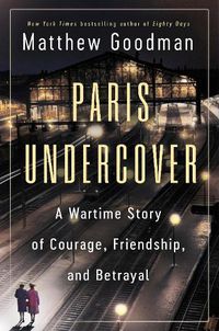 Cover image for Paris Undercover