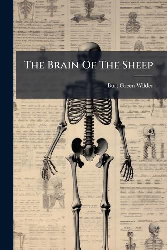 Cover image for The Brain Of The Sheep