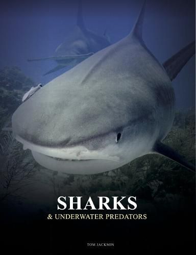 Cover image for Sharks and Underwater Predators