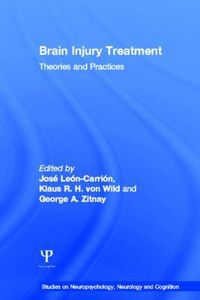 Cover image for Brain Injury Treatment: Theories and Practices