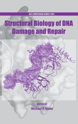 Cover image for Structural Biology of DNA Damage and Repair