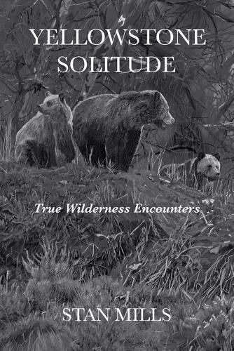 Cover image for Yellowstone Solitude