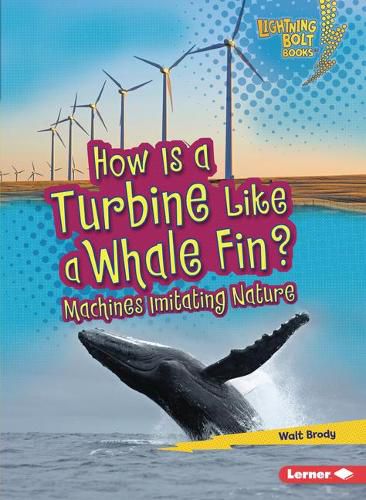 Cover image for How Is a Turbine Like a Whale Fin?: Machines Imitating Nature