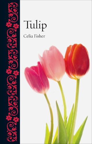 Cover image for Tulip