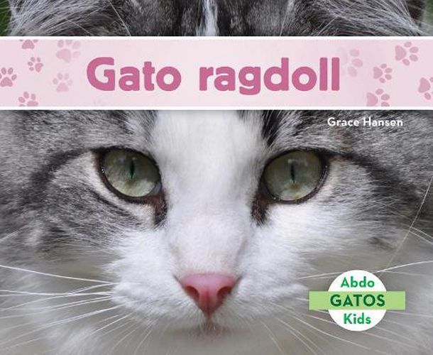 Cover image for Gato Ragdoll/ Ragdoll Cats
