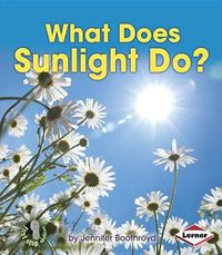 Cover image for What Does Sunlight Do