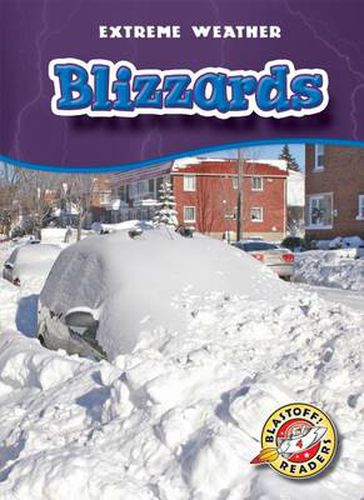 Cover image for Blizzards