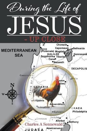 Cover image for During the Life of Jesus - Up Close