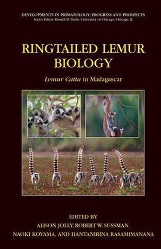 Cover image for Ringtailed Lemur Biology: Lemur catta in Madagascar