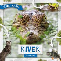 Cover image for River Food Webs