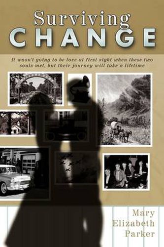 Cover image for Surviving Change