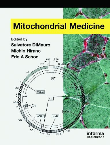 Cover image for Mitochondrial Medicine