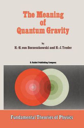 Cover image for The Meaning of Quantum Gravity