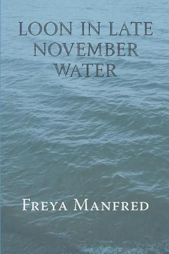 Cover image for Loon In Late November Water