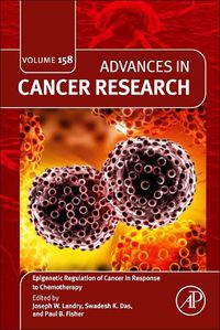 Cover image for Epigenetic Regulation of Cancer in Response to Chemotherapy