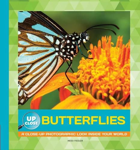 Cover image for Butterflies: A Close-Up Photographic Look Inside Your World