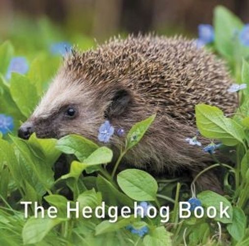 Cover image for The Hedgehog Book