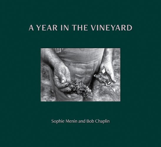 Cover image for A Year in the Vineyard