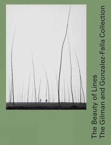 Cover image for The Beauty of Lines: The Gilman and Gonzalez-Falla Collection