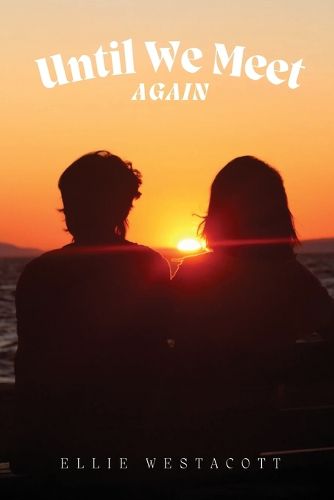 Cover image for Until We Meet Again
