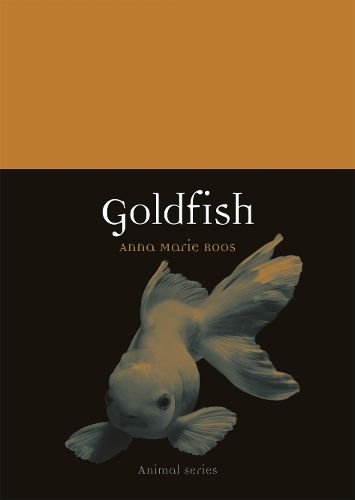 Cover image for Goldfish