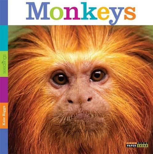 Cover image for Seedlings: Monkeys