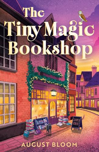 Cover image for The Tiny Magic Bookshop