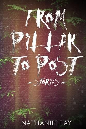 Cover image for From Pillar to Post (Trade Paperback)