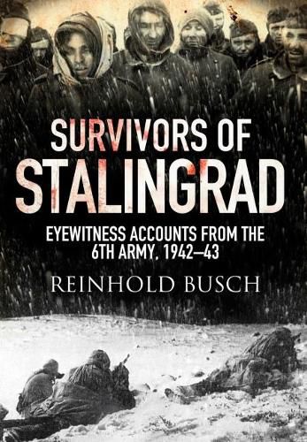 Cover image for Survivors of Stalingrad: Eyewitness Accounts from the 6th Army, 1942-1943