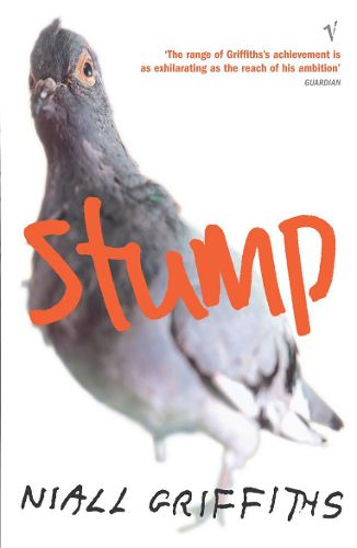 Cover image for Stump