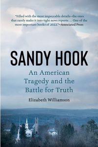 Cover image for Sandy Hook: An American Tragedy and the Battle for Truth