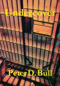 Cover image for Undercover