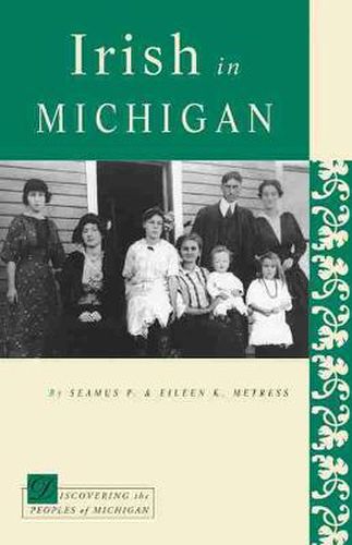 Cover image for Irish in Michigan