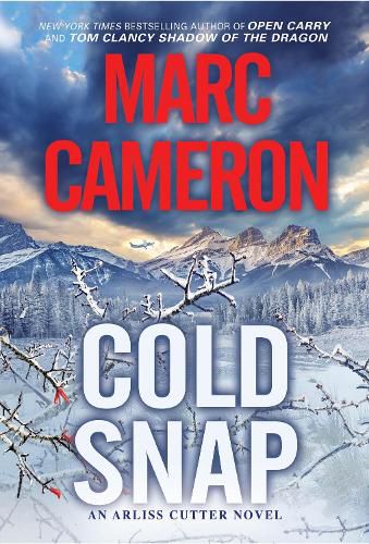 Cover image for Cold Snap: An Action Packed Novel of Suspense