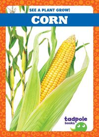 Cover image for Corn