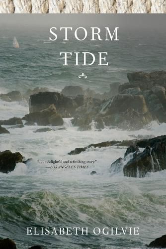 Cover image for Storm Tide