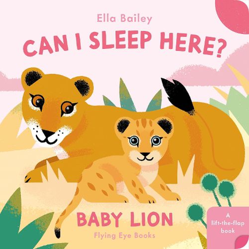 Cover image for Can I Sleep Here? Baby Lion